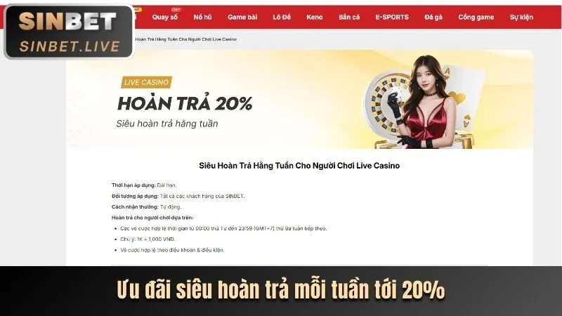 Chương trình VIP độc quyền cho thành viên gi88